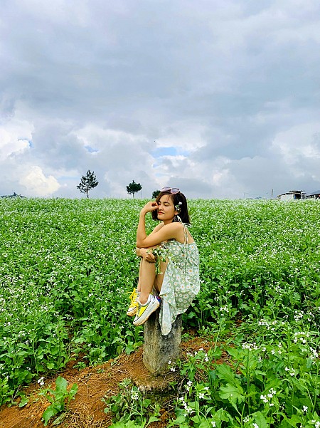 Chương trình Mộc Châu Mùa Hoa - Mùa Hồng Chín 2025