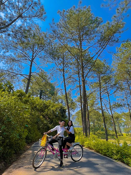 Chương trình Mộc Châu Mùa Hoa - Mùa Hồng Chín 2025