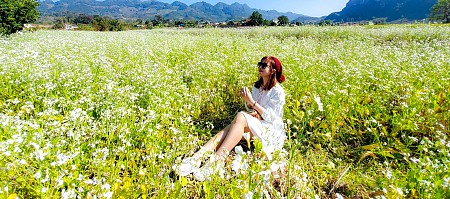 Chương trình Mộc Châu Mùa Hoa - Mùa Hồng Chín 2025