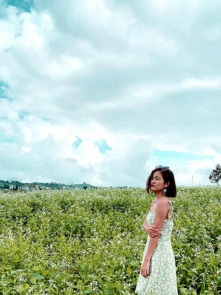 Chương trình Mộc Châu Mùa Hoa - Mùa Hồng Chín 2025