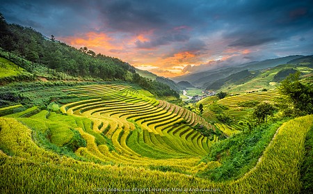 Chương trình Nghĩa Lộ - Mù Cang Chải - Tú Lệ 3 Ngày 2 Đêm Thứ 6 Hàng Tuần