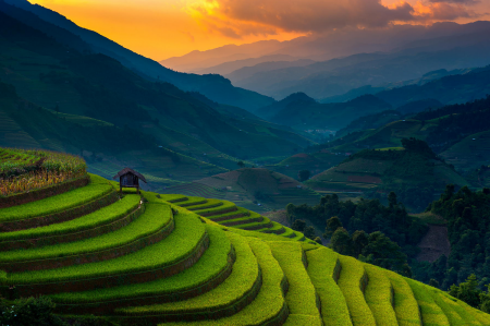 Chương trình Nghĩa Lộ - Mù Cang Chải - Tú Lệ 3 Ngày 2 Đêm Thứ 6 Hàng Tuần