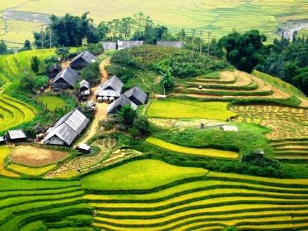 TP Hồ Chí Minh - Hà Nội - Sa Pa - Hàm Rồng - Thác Bạc - Cổng Trời - Hà Khẩu