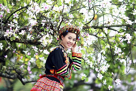 Truyền Thuyết Hoa Ban – Linh Hồn Tây Bắc