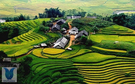 Văn Chấn - Yên Bái - Tây Bắc