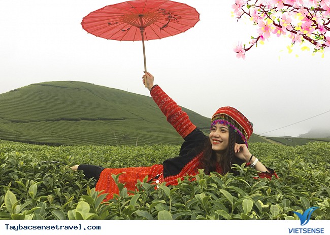 TOUR DU XUÂN TÂY BẮC TẾT ÂM LỊCH: Sơn La – Điện Biên – Mộc Châu – Sa Pa - 5 Ngày 4 Đêm - Ảnh 3 TOUR DU XUÂN TÂY BẮC TẾT ÂM LỊCH: Sơn La – Điện Biên – Mộc Châu – Sa Pa - 5 Ngày 4 Đêm - Ảnh 3