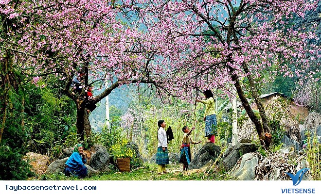 Bốn Mùa Tây Bắc - Ảnh 1