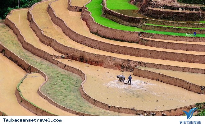 Bốn Mùa Tây Bắc - Ảnh 6