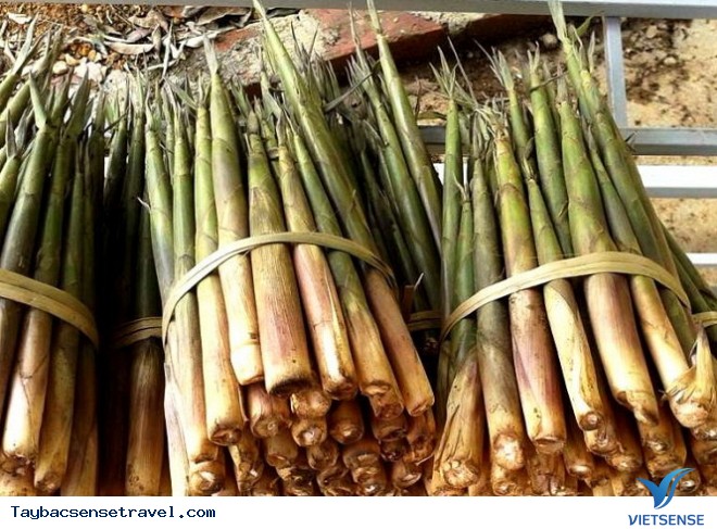 Bốn Mùa Tây Bắc - Ảnh 7