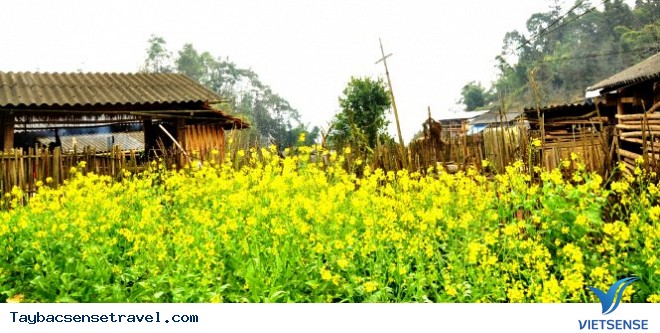 Bốn Mùa Tây Bắc - Ảnh 10