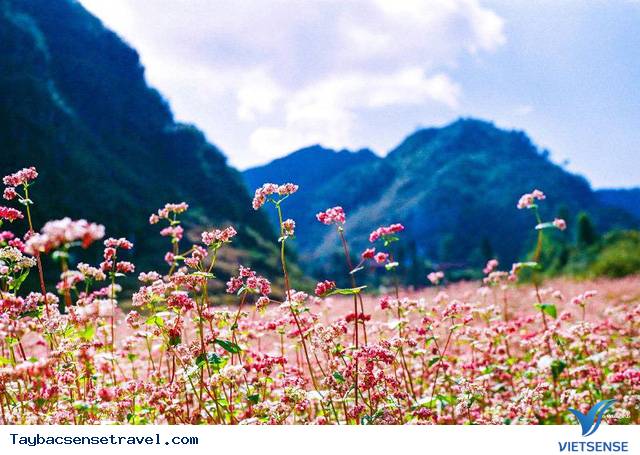 Bốn Mùa Tây Bắc - Ảnh 11