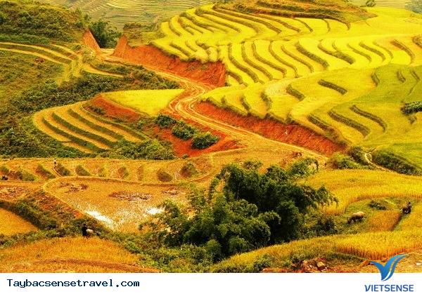 Bốn Mùa Tây Bắc - Ảnh 9