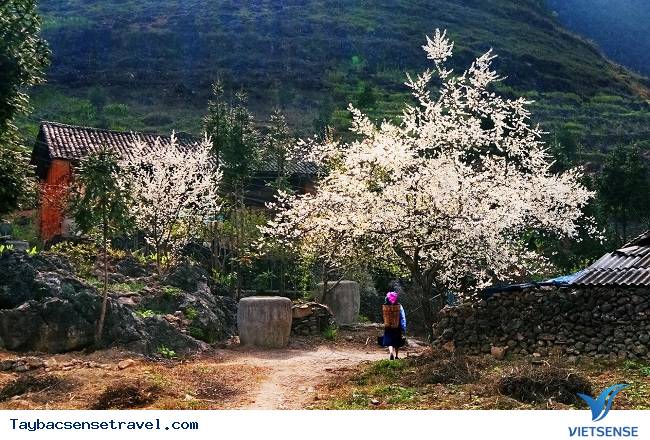 Bốn Mùa Tây Bắc - Ảnh 2