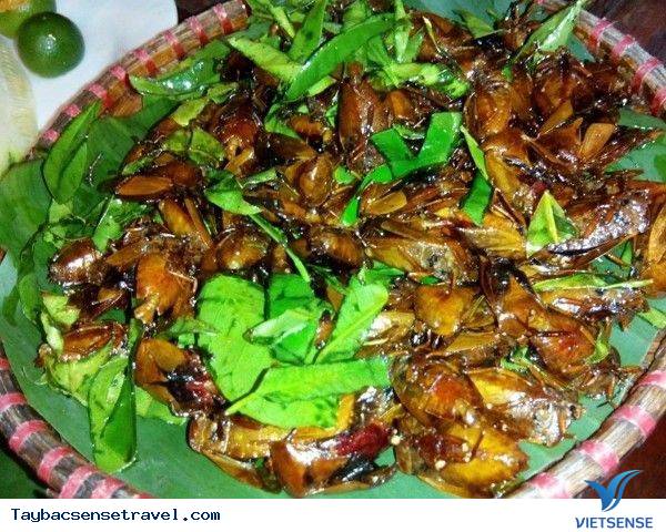 “Bọ xít rang lá chanh” món ngon Tây Bắc thách thức tín đồ ẩm thực “Bọ xít rang lá chanh” món ngon Tây Bắc thách thức tín đồ ẩm thực