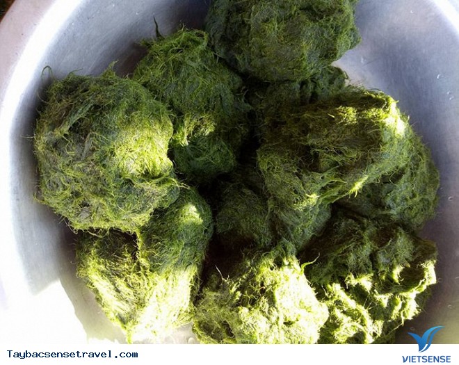Kỳ lạ đặc sản từ rêu của người Tày Tây Bắc - Ảnh 2 Kỳ lạ đặc sản từ rêu của người Tày Tây Bắc - Ảnh 2