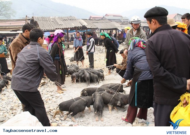 Lên Tây Bắc Những Ngày Thu Thưởng Thức Đặc Sản Núi Rừng - Ảnh 8 Lên Tây Bắc Những Ngày Thu Thưởng Thức Đặc Sản Núi Rừng - Ảnh 8