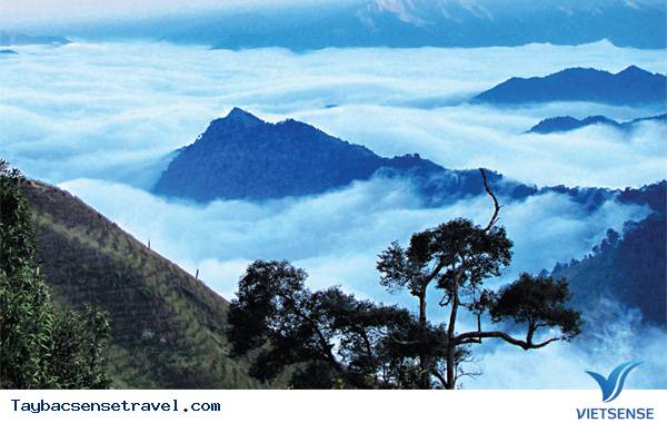 Tà Chì Nhù- Đại Dương Trên Mây - Ảnh 5 Tà Chì Nhù- Đại Dương Trên Mây - Ảnh 5