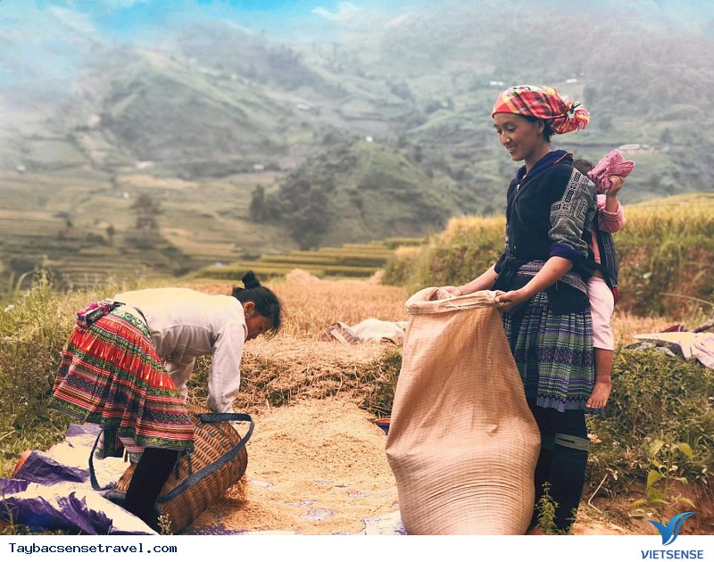 CUỘC SỐNG BÌNH DỊ NƠI RẺO CAO CUỘC SỐNG BÌNH DỊ NƠI RẺO CAO