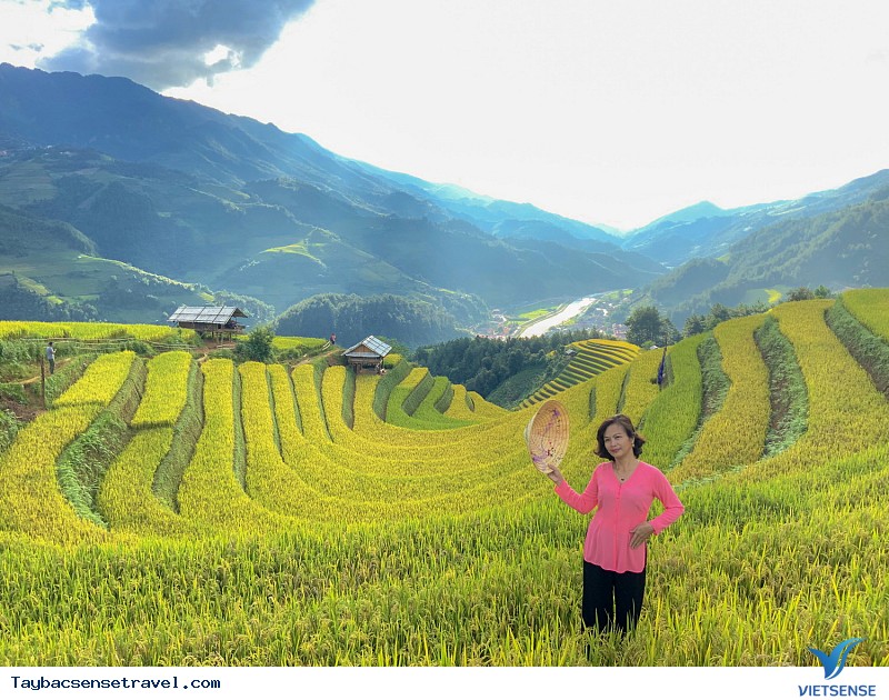 Có Một Mùa Vàng Tây Bắc Đắm Say Trong Mắt khách thăm quan VietSense - Ảnh 11