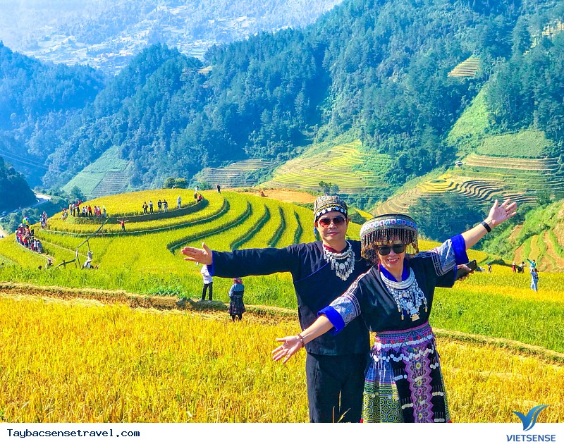 Có Một Mùa Vàng Tây Bắc Đắm Say Trong Mắt khách thăm quan VietSense - Ảnh 2