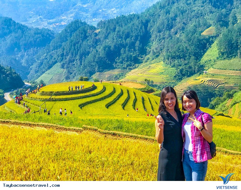 Có Một Mùa Vàng Tây Bắc Đắm Say Trong Mắt khách thăm quan VietSense - Ảnh 5
