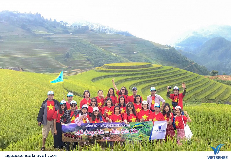 Có Một Mùa Vàng Tây Bắc Đắm Say Trong Mắt khách thăm quan VietSense - Ảnh 8