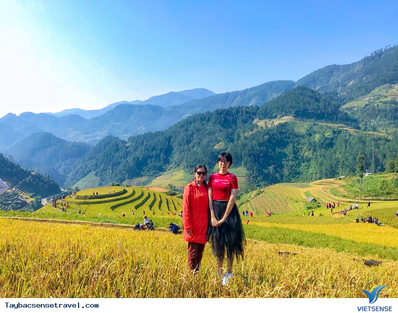 Có Một Mùa Vàng Tây Bắc Đắm Say Trong Mắt khách thăm quan VietSense - Ảnh 6