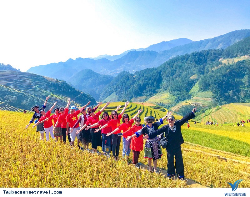 Có Một Mùa Vàng Tây Bắc Đắm Say Trong Mắt khách thăm quan VietSense - Ảnh 3