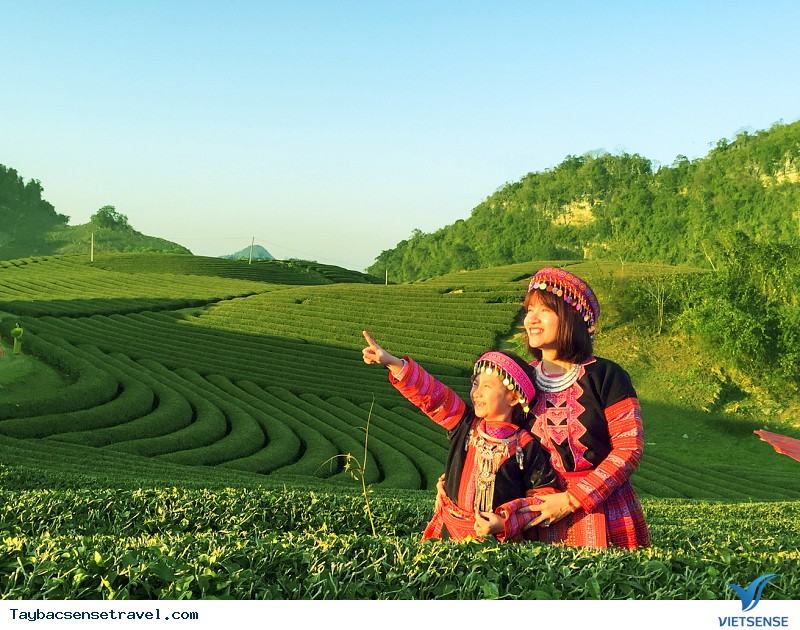 Du xuân đón Tết Dương lịch khi dắt theo trẻ nhỏ - Ảnh 2 Du xuân đón Tết Dương lịch khi dắt theo trẻ nhỏ - Ảnh 2