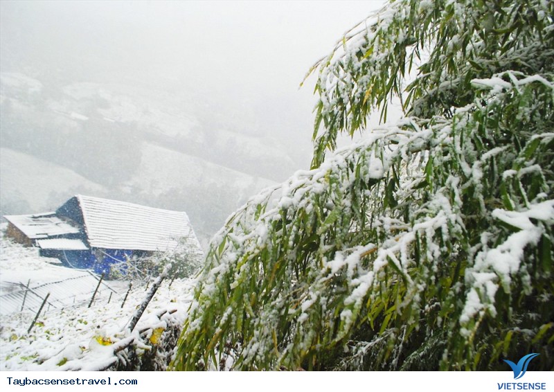 Giá lạnh bao trùm miền Bắc - Tây Bắc khả năng xuất hiện tuyết rơi trong những ngày đầu Xuân - Ảnh 3