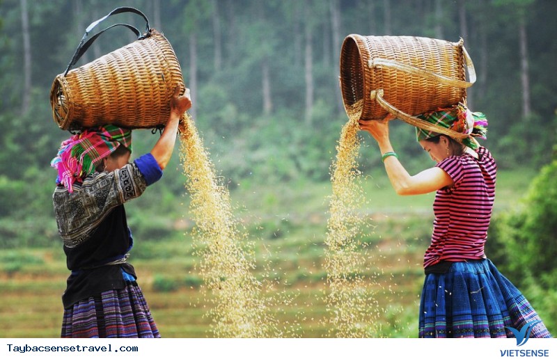 Tận hưởng những gì có trên Mù Cang Chải