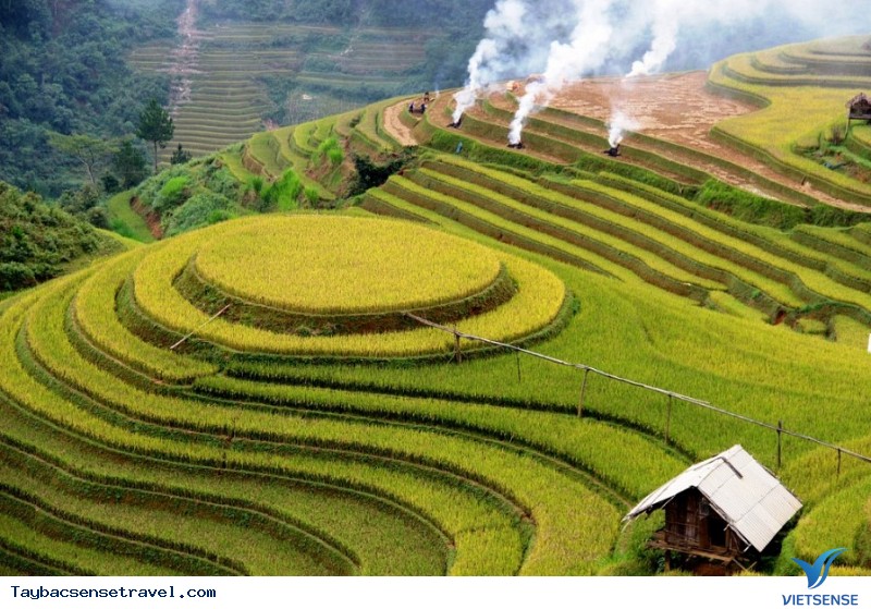 Lựa chọn một nhà nghỉ hợp lý