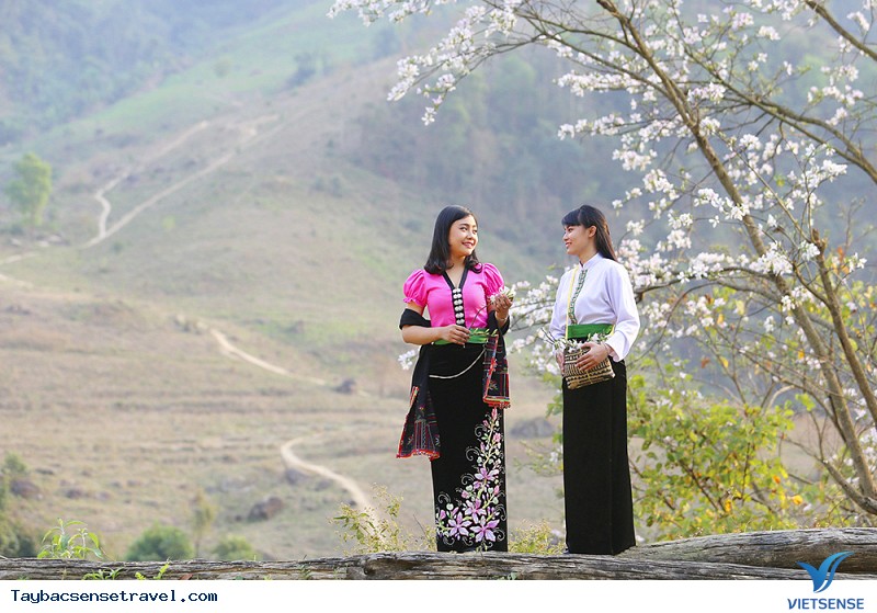 Mùa xuân - mùa của hoa ban rừng Mùa xuân - mùa của hoa ban rừng