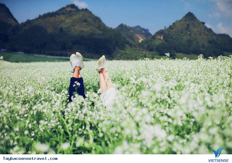 Lên Mộc Châu ngắm hoa Cải Trắng cần mang theo những gì - Ảnh 3