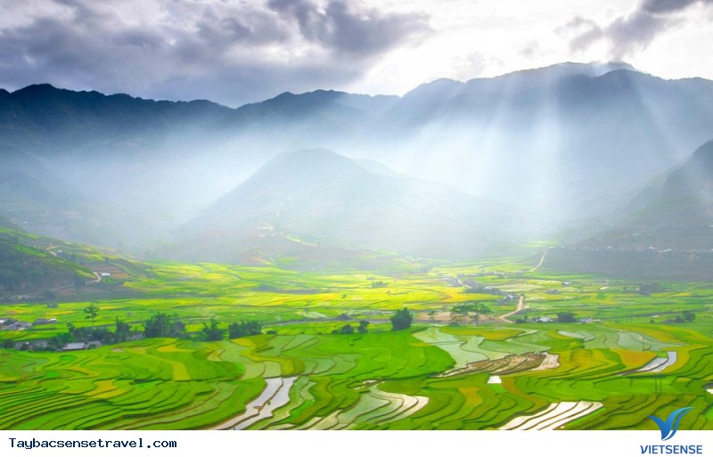Mù Cang Chải mùa lúa chín - Ảnh 2 Mù Cang Chải mùa lúa chín - Ảnh 2