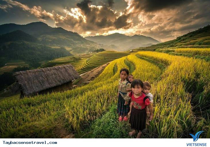 Trải nghiệm hành trình Mù Cang Chải mùa lúa chín - Ảnh 2 Trải nghiệm hành trình Mù Cang Chải mùa lúa chín - Ảnh 2
