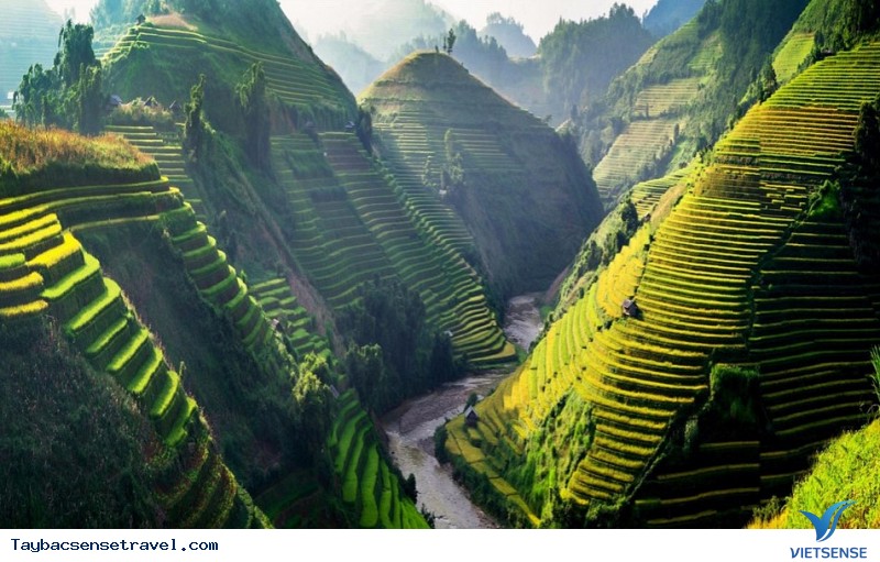 Mù Cang Chải mùa lúa chín - Ảnh 1 Mù Cang Chải mùa lúa chín - Ảnh 1