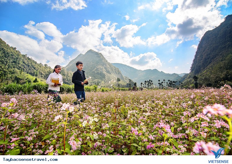 Nó có đẹp thực sự hay không?