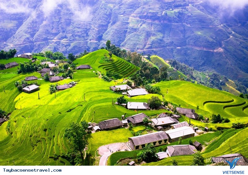 Chùm Ảnh Mùa lúa chín tại Mù Căng Chải - Phần 2 - Ảnh 3