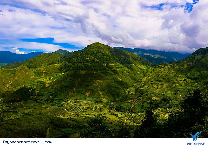 Chùm Ảnh Mùa lúa chín tại Mù Căng Chải - Phần 2 - Ảnh 10