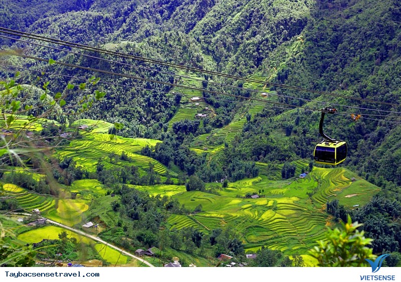 Chùm Ảnh Mùa lúa chín tại Mù Căng Chải - Phần 2 - Ảnh 5