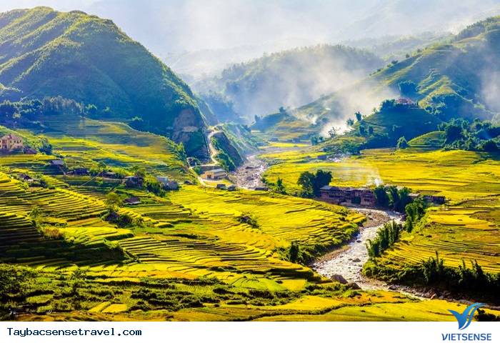 Chùm ảnh Mùa Lúa Chín - Tây Bắc - phần 1 - Ảnh 5 Chùm ảnh Mùa Lúa Chín - Tây Bắc - phần 1 - Ảnh 5
