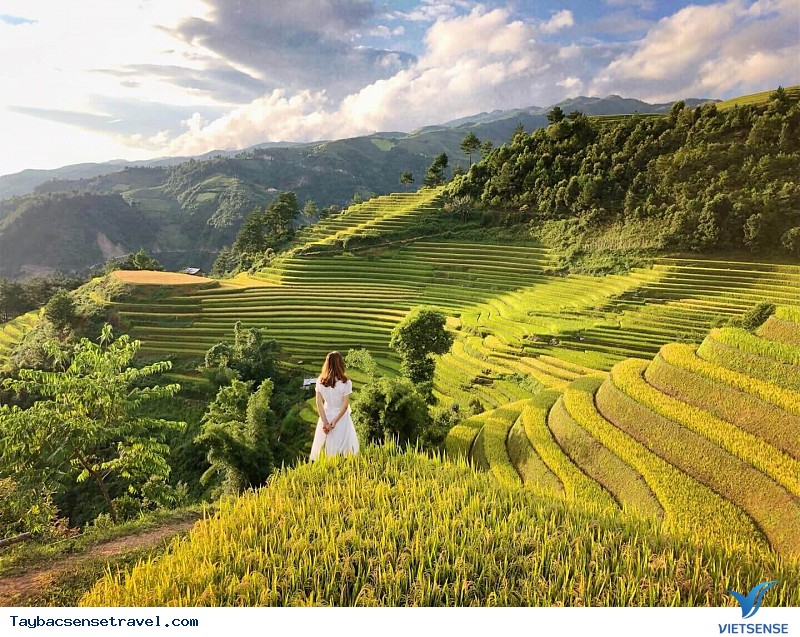 Bản Lìm Mông - Lìm Thái Bản Lìm Mông - Lìm Thái