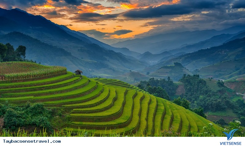 Mù Cang Chải Mù Cang Chải