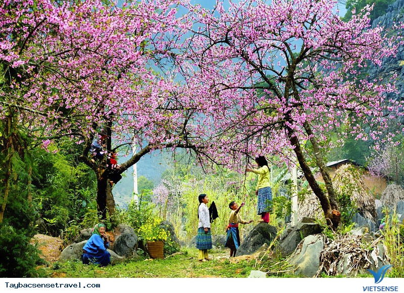 Rong ruổi du xuân khắp nẻo đường Tây Bắc - Ảnh 1