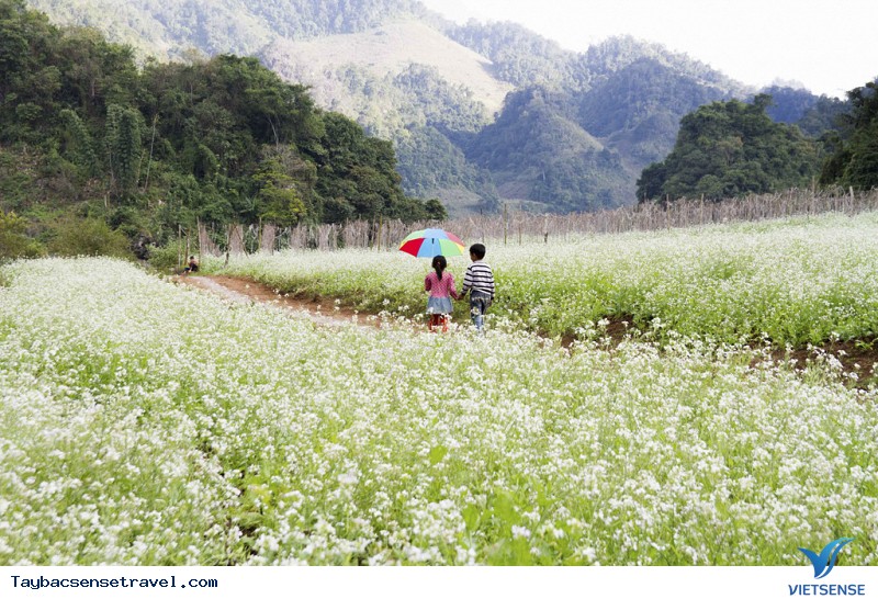 Trắng ngần - Ảnh 4 Trắng ngần - Ảnh 4