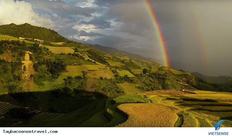 Top ảnh mùa lúa chín Mù Cang Chải - Ảnh 7
