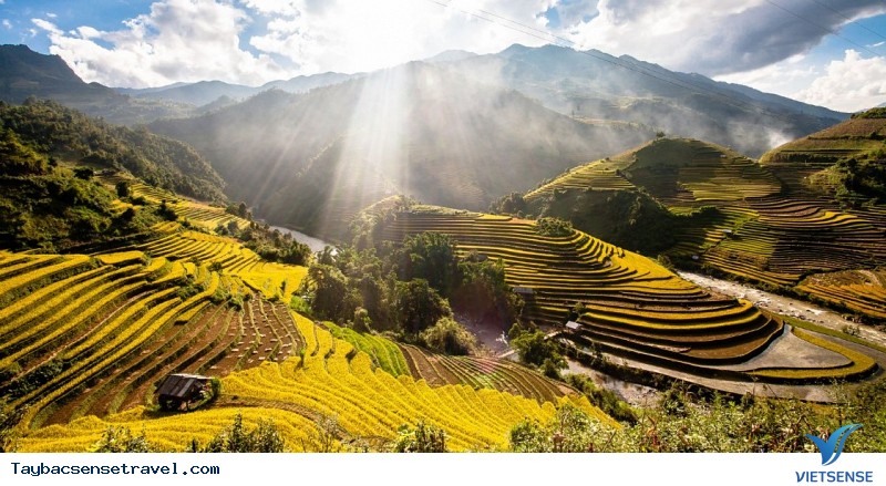 Top ảnh mùa lúa chín Mù Cang Chải - Ảnh 5