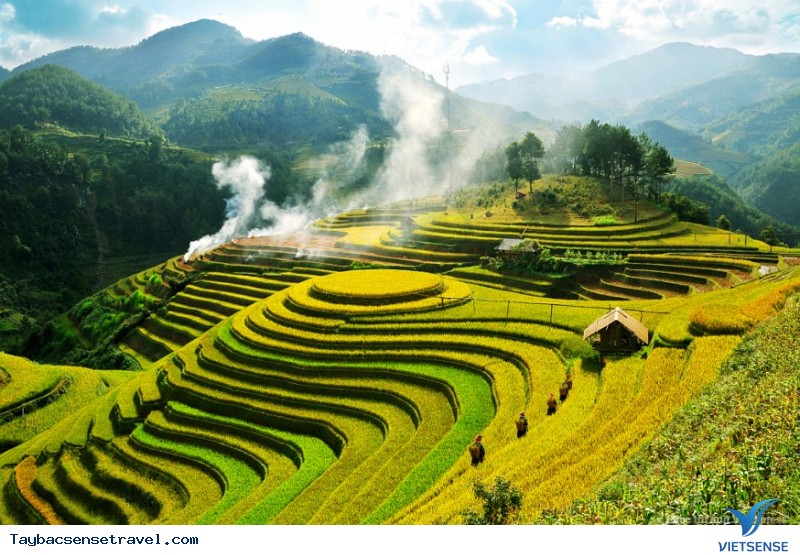 Top ảnh mùa lúa chín Mù Cang Chải - Ảnh 4