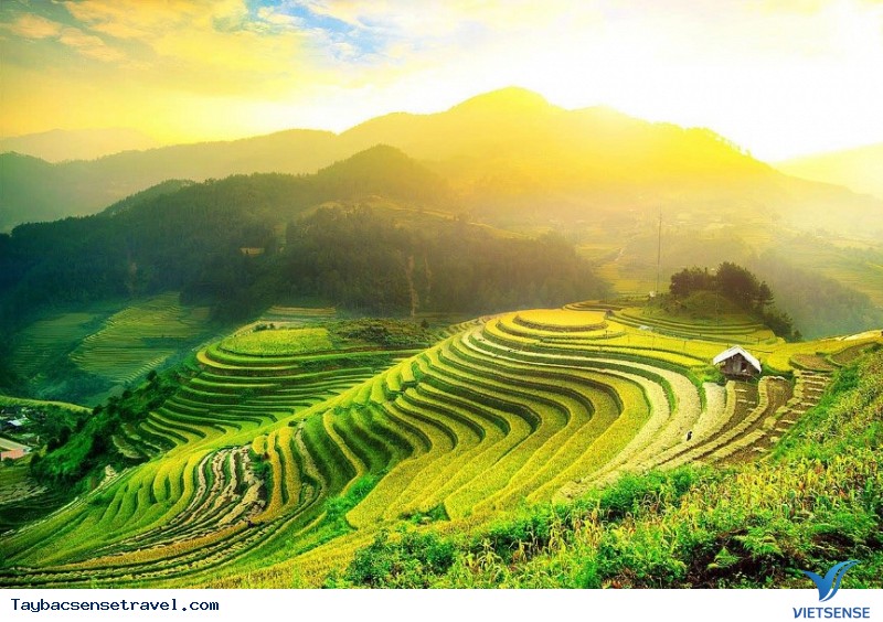 Top ảnh mùa lúa chín Mù Cang Chải - Ảnh 1